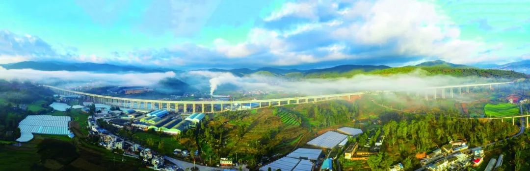 欧美乱妇日本无乱码特黄大片