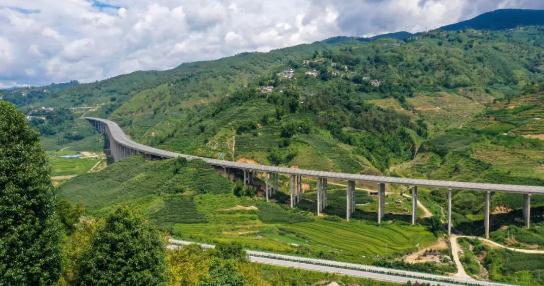 欧美乱妇日本无乱码特黄大片