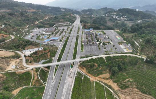 欧美乱妇日本无乱码特黄大片