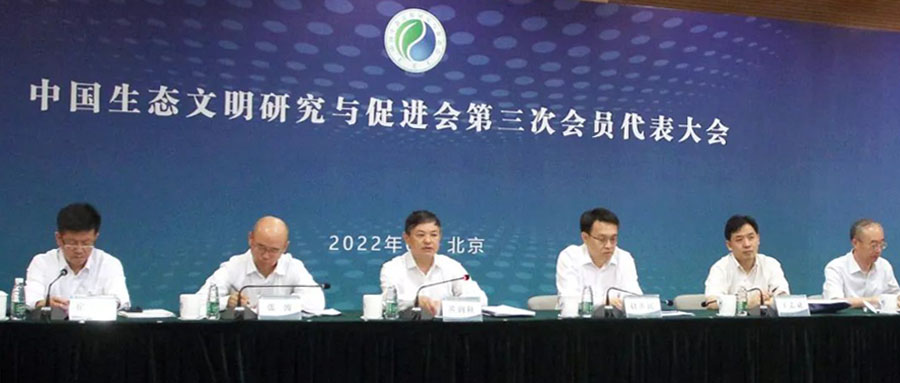 欧美乱妇日本无乱码特黄大片