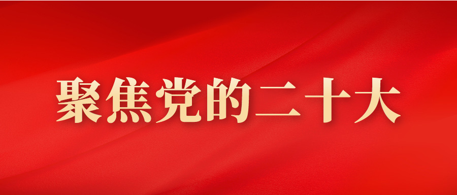 欧美乱妇日本无乱码特黄大片