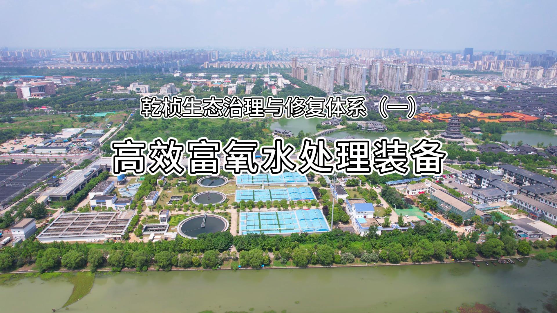 欧美乱妇日本无乱码特黄大片