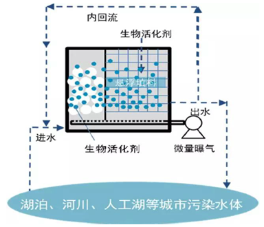 欧美乱妇日本无乱码特黄大片