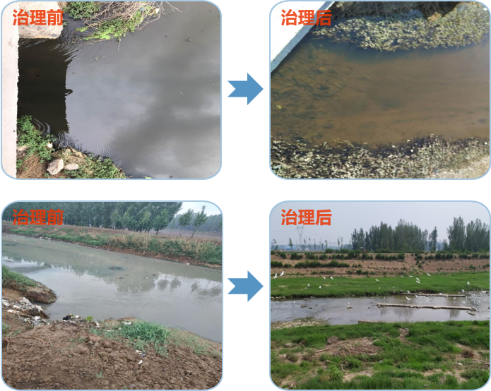 欧美乱妇日本无乱码特黄大片