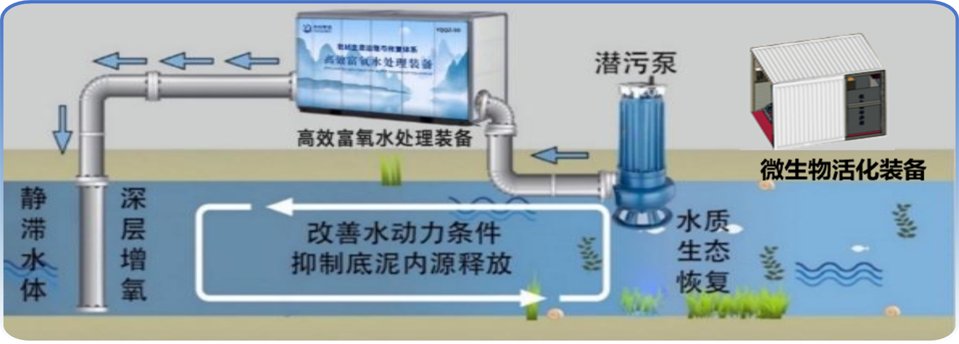 欧美乱妇日本无乱码特黄大片
