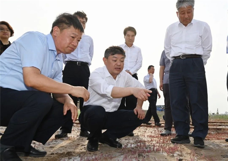 欧美乱妇日本无乱码特黄大片